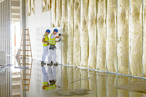 Best Insulation Installation Services in Hubbard, OH